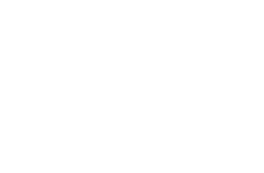 logo BTPST blanc